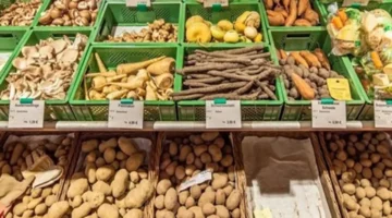 انخفاض الأسعار بنسبة 22% يضع المزارعين في مواجهة مباشرة مع خطر الإفلاس